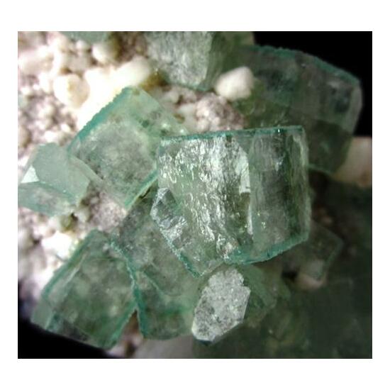 Apophyllite On Heulandite