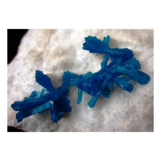 Cavansite & Okenite