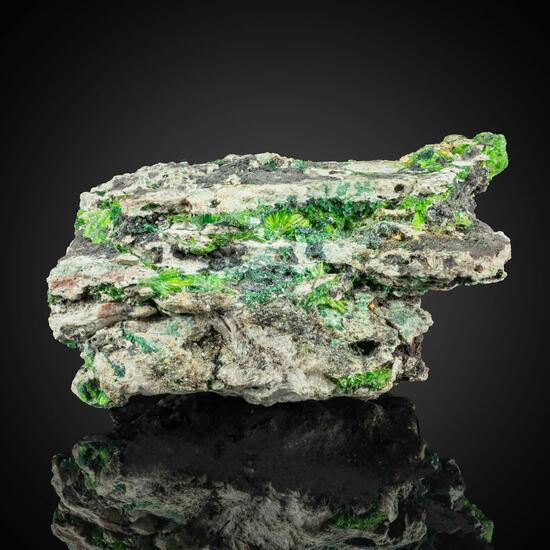 Cuprosklodowskite Torbernite & Kasolite