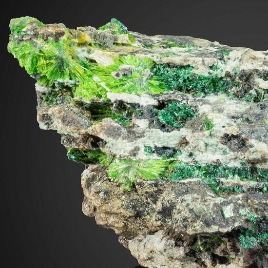 Cuprosklodowskite Torbernite & Kasolite