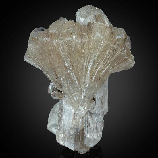 Gypsum