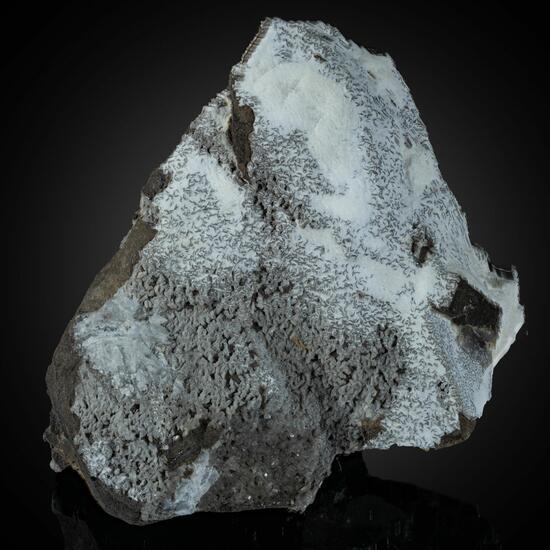 Whewellite
