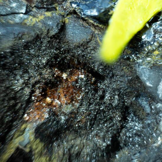 Bermanite & Robertsite