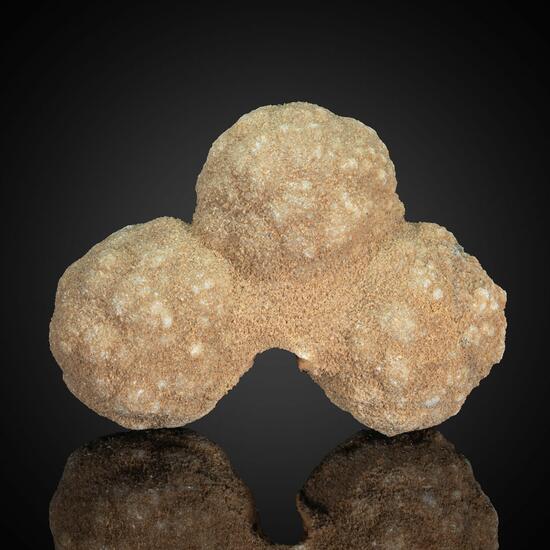 Stromatolite & Calcite