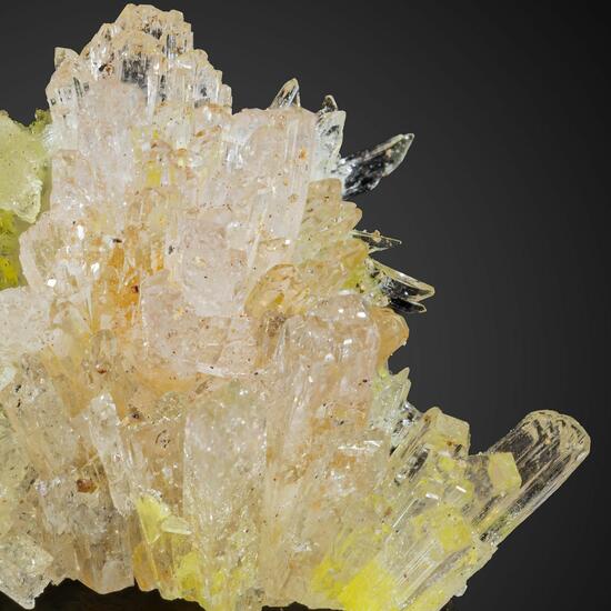 Carlhintzeite & Creedite