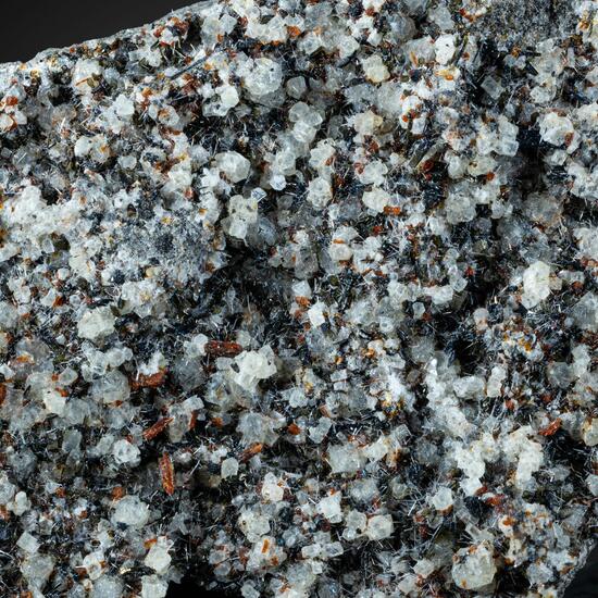 Leucite Nepheline Melilite Magnetite & Augite