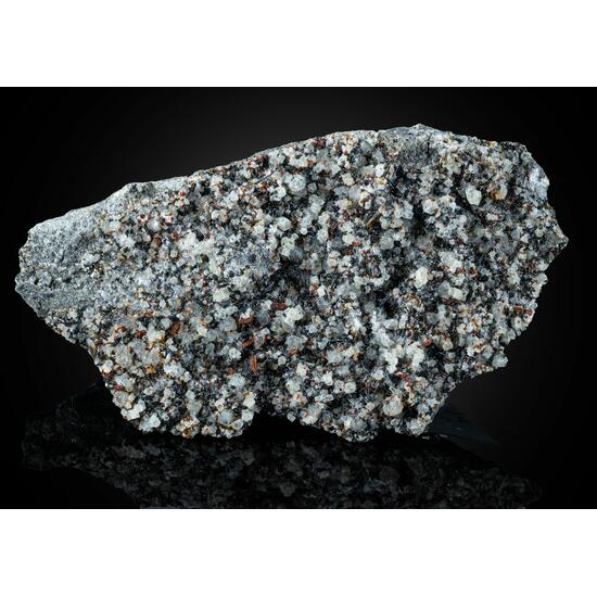 Leucite Nepheline Melilite Magnetite & Augite