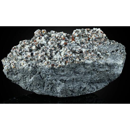 Leucite Nepheline Melilite Magnetite & Augite