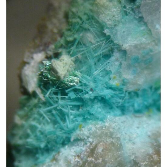 Chrysocolla Psm Mordenite