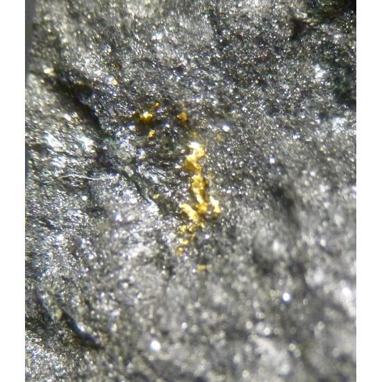 Native Gold & Magnetite