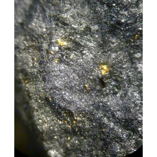 Native Gold & Magnetite