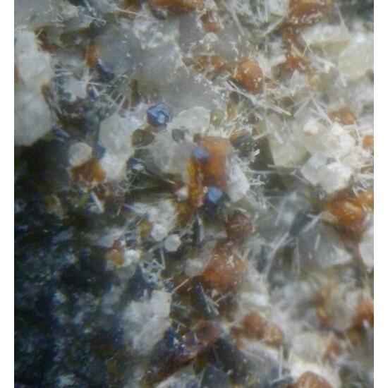 Melilite Fluorapatite Nepheline Magnetite & Augite