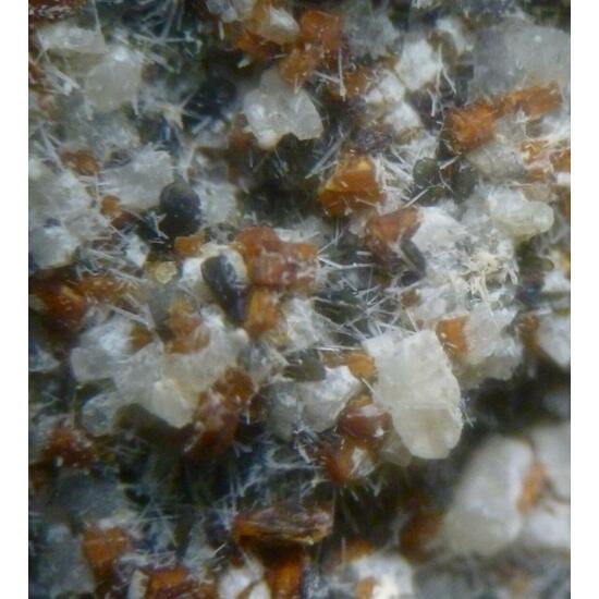 Melilite Fluorapatite Nepheline Magnetite & Augite