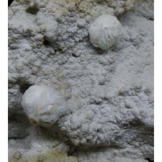 Gyrolite & Chalcedony