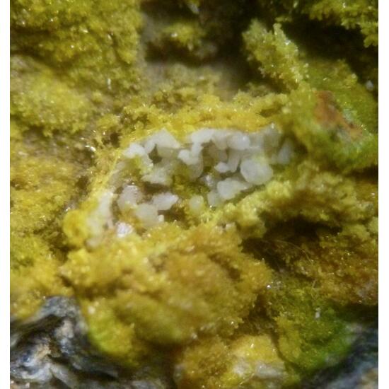 Cerussite & Pyromorphite