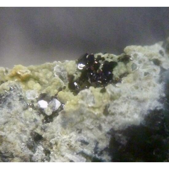 Magnetite & Lizardite