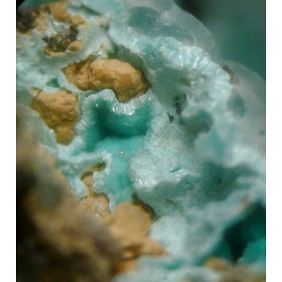 Hemimorphite Aurichalcite & Veszelyite