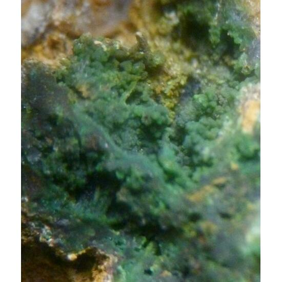 Bayldonite Malachite & Mimetite
