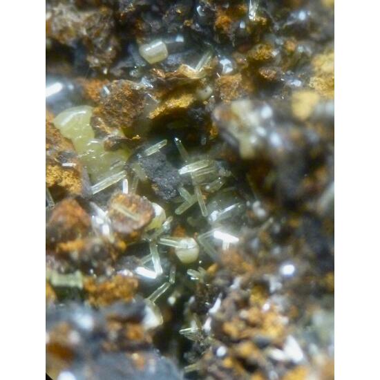 Wulfenite & Mimetite