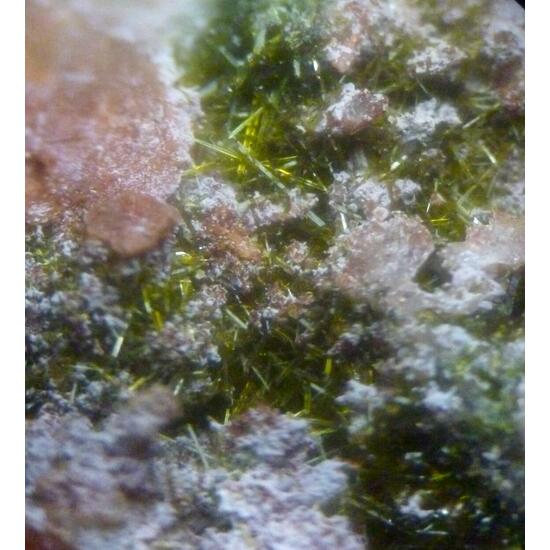 Clinoclase & Olivenite