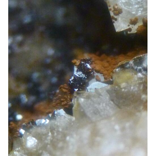 Kintoreite & Covellite