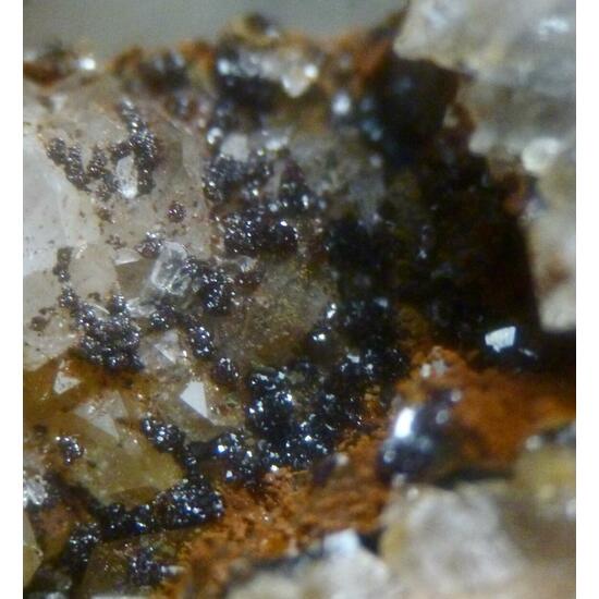 Kintoreite & Covellite