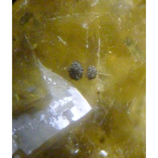 Fluorite Chalcopyrite & Baryte