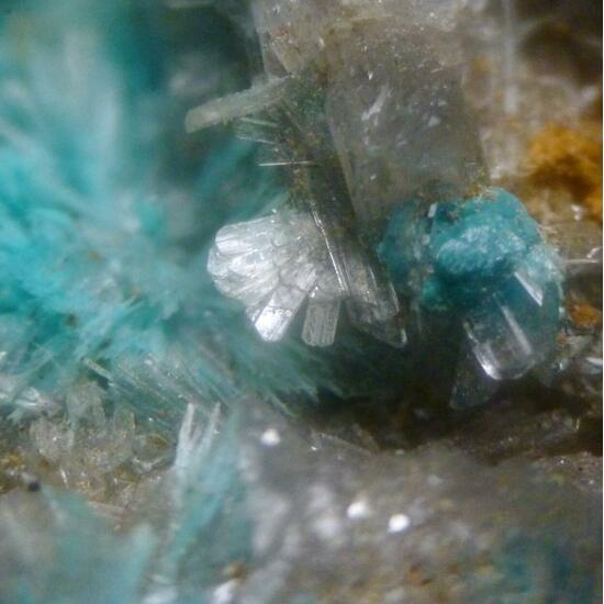 Aurichalcite & Hemimorphite