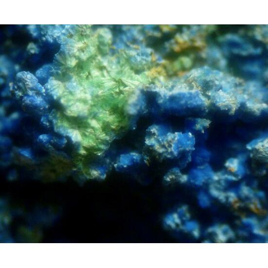 Cyanotrichite & Chalcoalumite