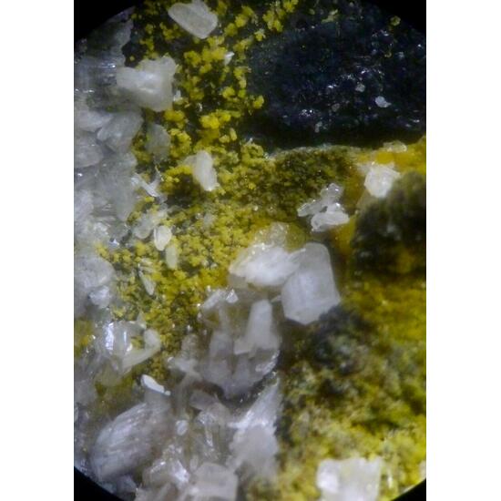 Cerussite & Pyromorphite
