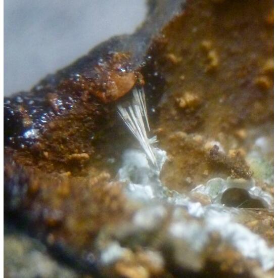 Stewartite Strunzite & Laueite