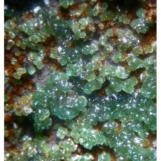 Cuprian Adamite & Smithsonite