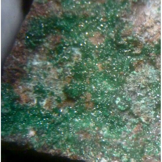 Paratacamite