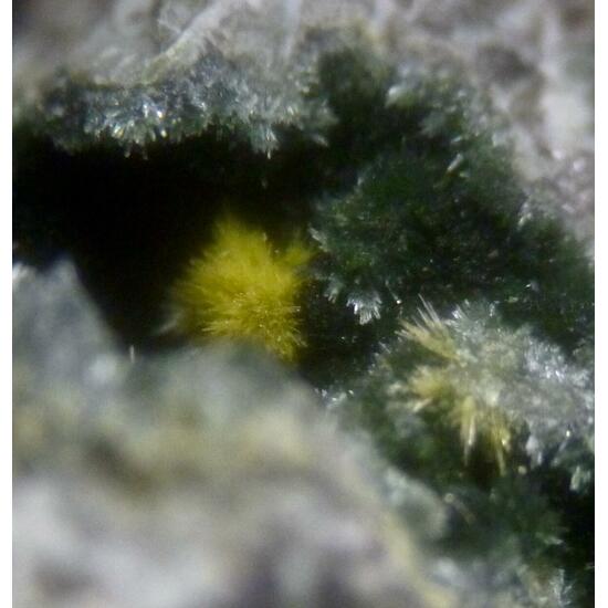 Epidote & Pumpellyite