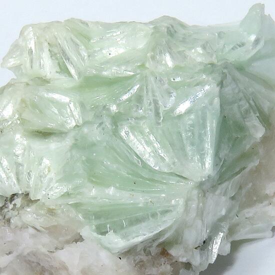 Pyrophyllite