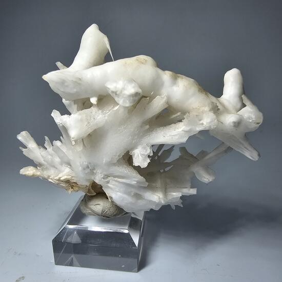 Aragonite Var Flos Ferri