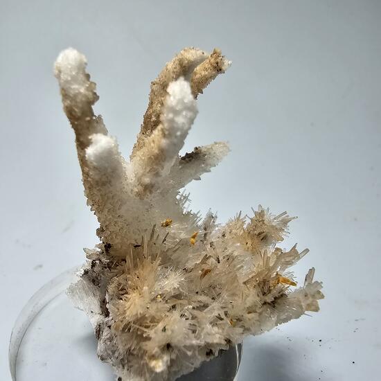 Aragonite Var Flos Ferri