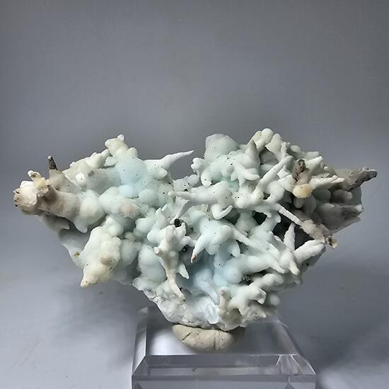 Aragonite Var Flos Ferri