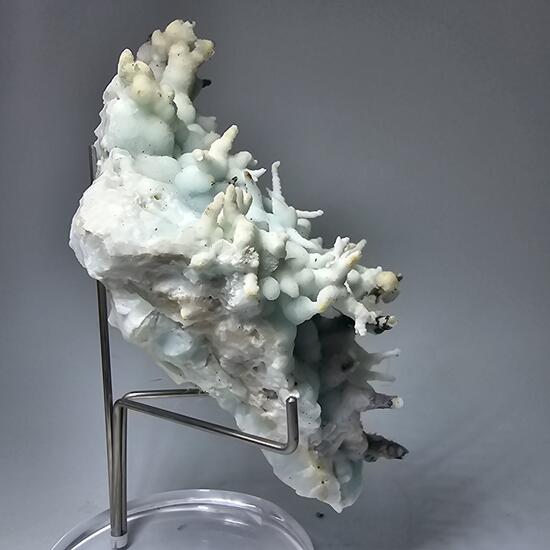 Aragonite Var Flos Ferri