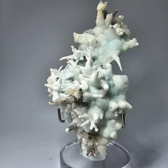 Aragonite Var Flos Ferri