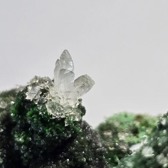 Zincolivenite & Conichalcite On Goethite Psm Gypsum