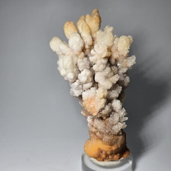 Calcite & Aragonite