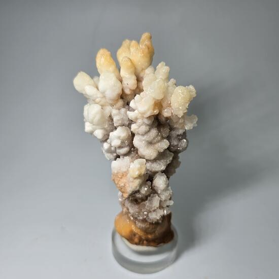 Calcite & Aragonite