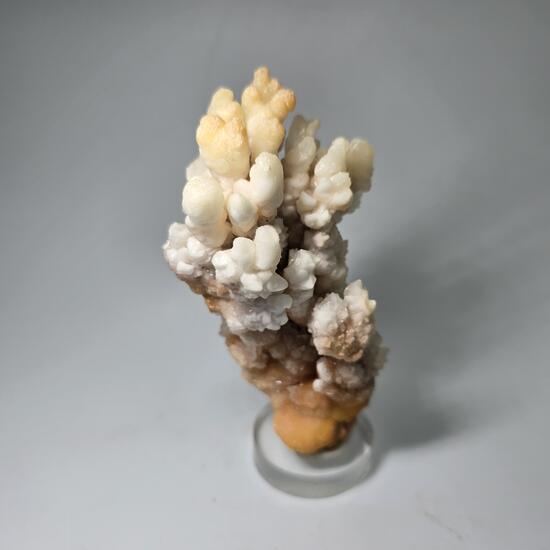 Calcite & Aragonite