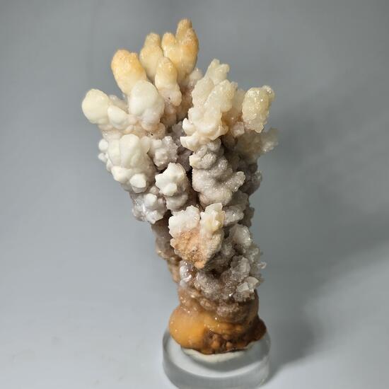 Calcite & Aragonite