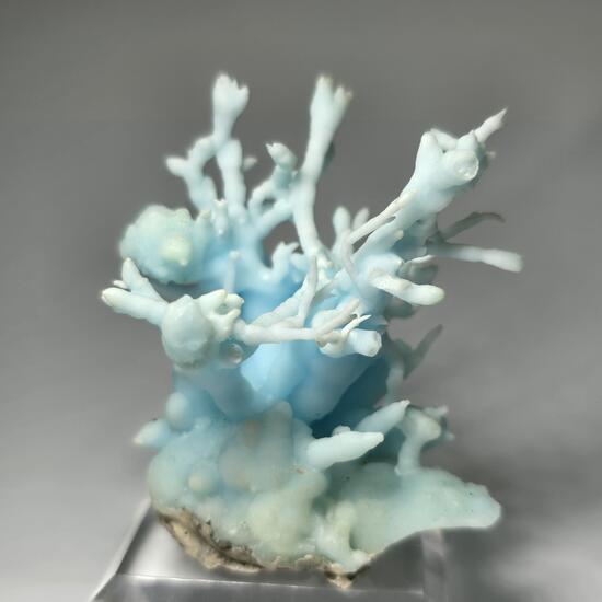 Flos Ferri Aragonite