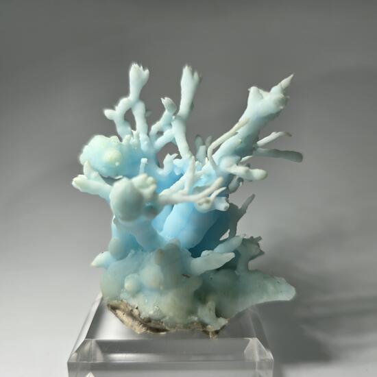 Flos Ferri Aragonite