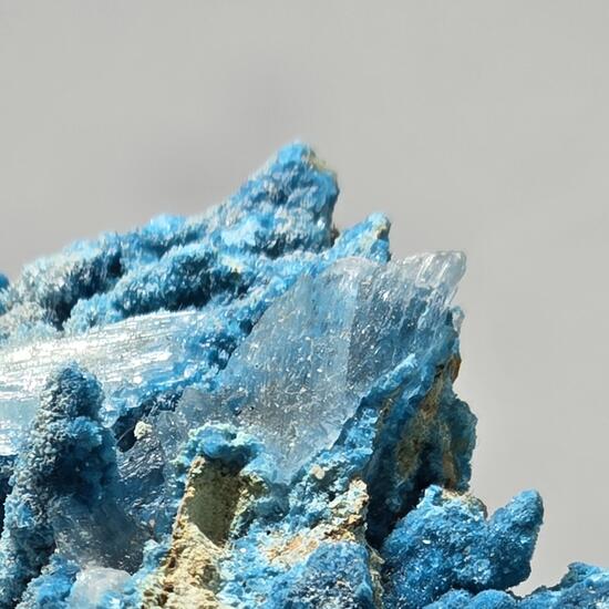 Serpierite & Gypsum