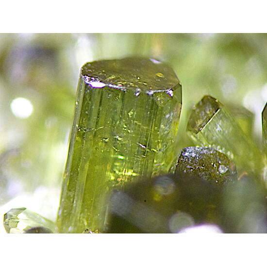 Vesuvianite