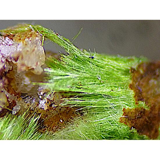 Agardite-(Ce)